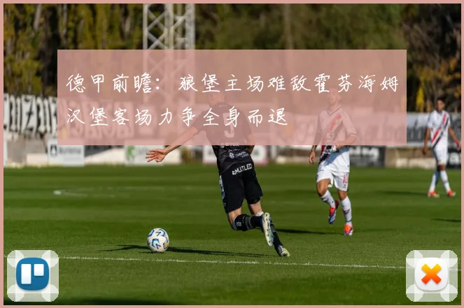 德甲前瞻：狼堡主场难敌霍芬海姆汉堡客场力争全身而退