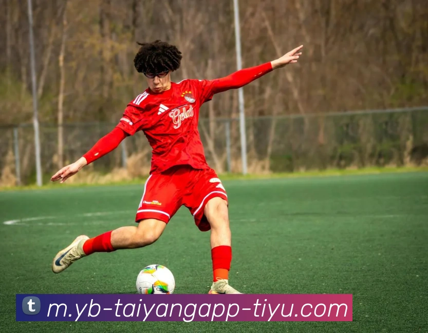 太阳城平台生态图