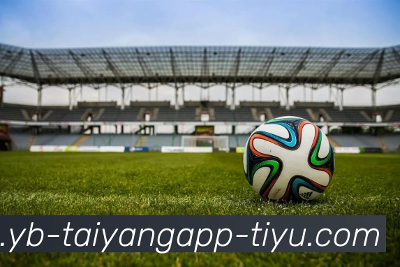 太阳城APP 封面图